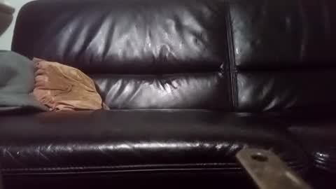 Snapshot of drbretholding chatting on February 20, 3:56 am Carsten Tenberg online show from February 20, 3:56 am