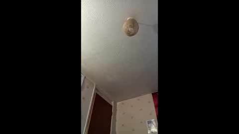 drudkh1 online show from January 18, 1:02 pm