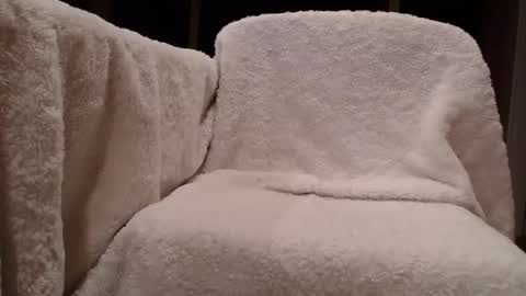 dt8383 online show from March 2, 10:55 am