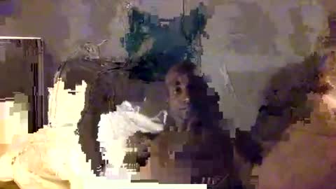 dumdick17 online show from June 11, 2:22 am