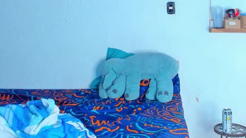 Dylan online show from February 20, 5:15 am