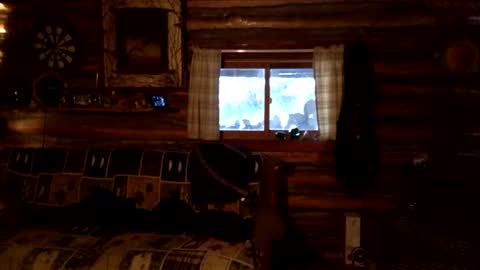 eagerbtm online show from January 18, 8:44 pm