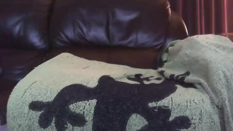 Snapshot of ectopicstarfish chatting on December 13, 8:43 am Ectopicstarfish online show from December 13, 8:43 am