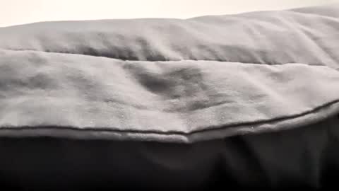 edibleking420 online show from November 7, 1:25 pm