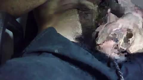 Eds online show from November 12, 2:28 am