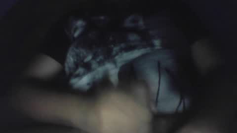 edu4394 online show from April 30, 3:24 am