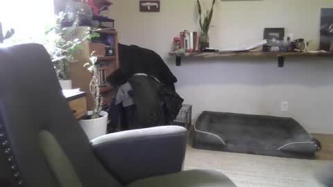 fox online show from February 22, 6:53 pm