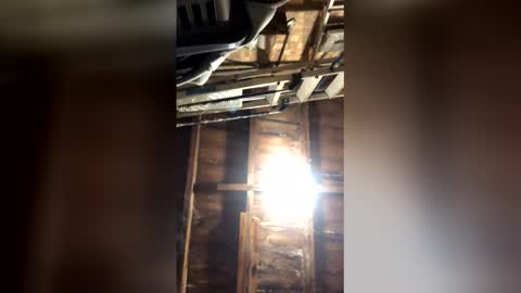 essexguy36_ online show from February 24, 3:07 am