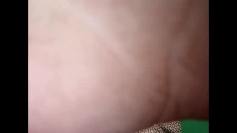 experttreecompany online show from April 27, 6:32 am