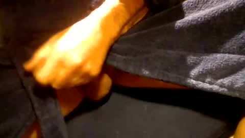 fastoys aka ...what ever.. online show from February 18, 3:53 pm