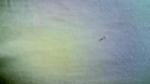 felicaste online show from April 21, 11:38 am