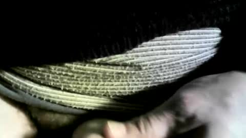 felicaste online show from March 5, 10:11 am