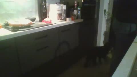 fem_alice_louis_dom online show from September 24, 6:39 pm