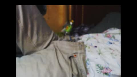 ferra_testarossa online show from October 9, 5:12 am