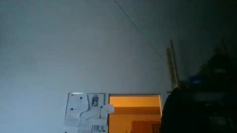 fine_nice online show from February 16, 6:06 pm