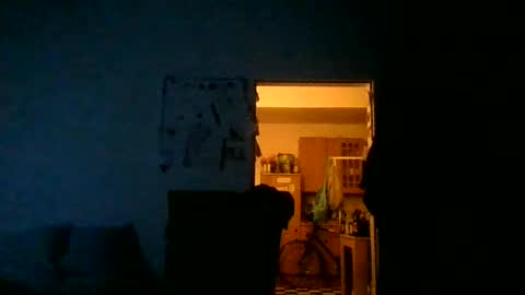 fine_nice online show from June 28, 1:00 am