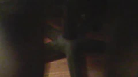 flavor8888 online show from March 20, 4:49 am