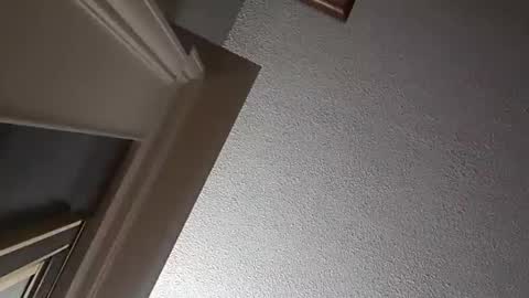 Have fun remembering u online show from October 2, 2:26 am