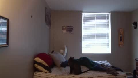 forlorndog online show from April 7, 5:24 pm