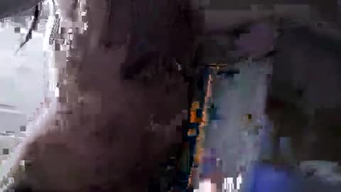 Squirrel twink online show from September 15, 10:05 am