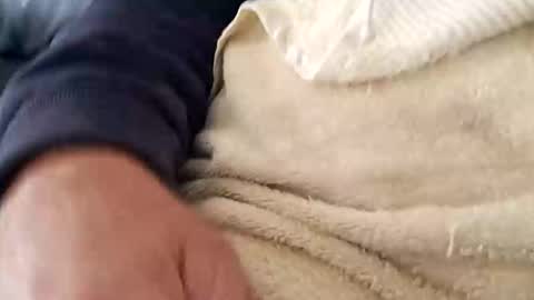 fred2008 online show from September 17, 10:05 am