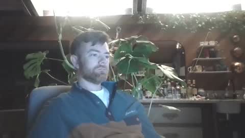 Freddy online show from January 15, 3:11 am