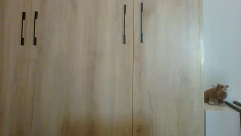 Prince online show from November 5, 11:18 pm