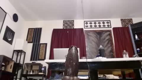 gatewaylaptop2019 online show from April 19, 6:10 pm