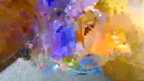 geileebond66 online show from September 26, 9:51 am