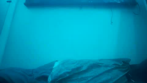 geminicomplex online show from January 14, 8:19 am