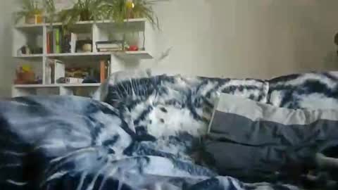 Snapshot of geon2xx chatting on September 28, 12:14 pm Geon online show from September 28, 12:14 pm