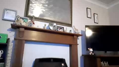 gerald381 online show from January 11, 7:06 pm