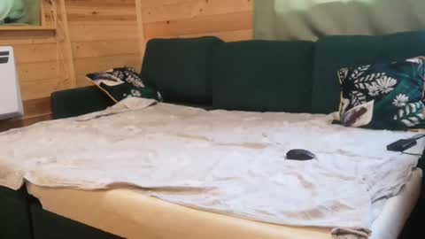 Dave online show from February 1, 12:47 pm