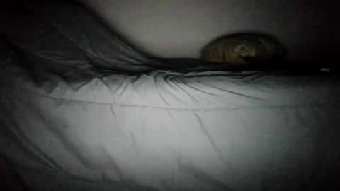 watch me stroke online show from June 18, 2:24 am