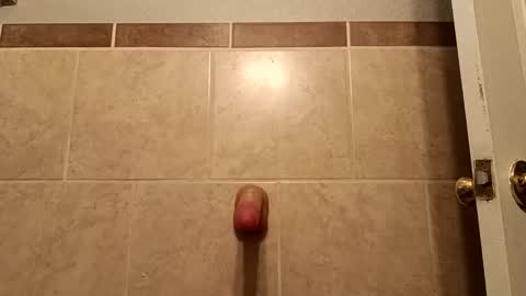 Lord Satan online show from February 27, 11:37 pm