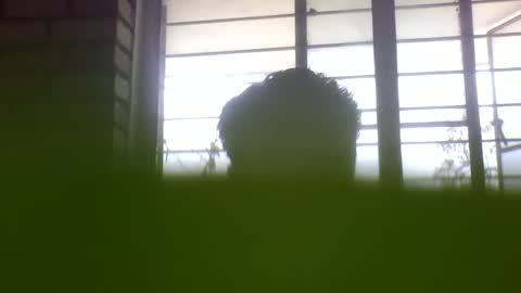 Grey Stud online show from February 24, 5:21 am