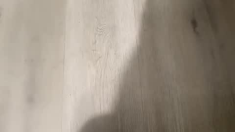 gwuylilevoea online show from November 14, 10:38 am