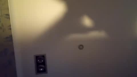 h_rd333 online show from November 6, 1:36 pm