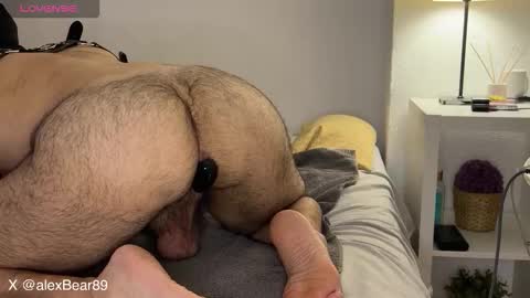 hairyarabbear online show from September 15, 2:14 am