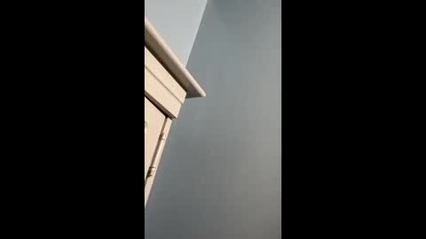 halfgingerbwc85 online show from December 14, 5:47 am