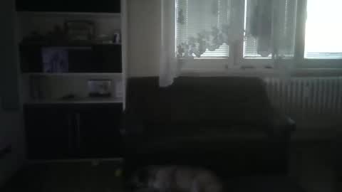 hanzik1954 online show from March 12, 4:58 pm