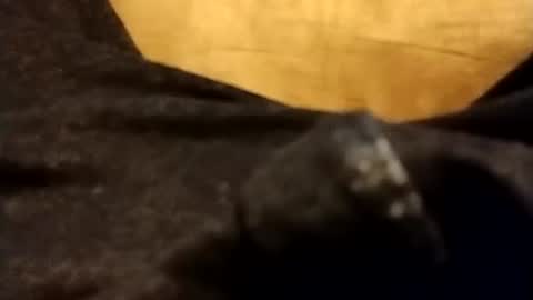 hardandhorny422 online show from December 5, 2:35 pm