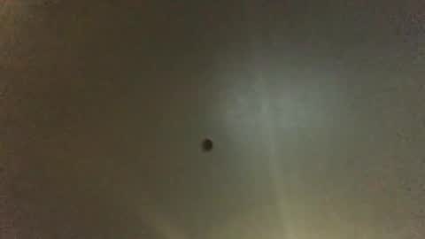 For You online show from January 9, 8:45 am