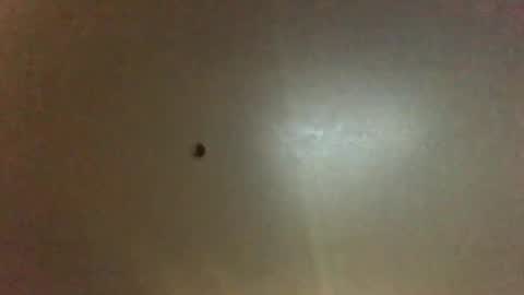 For You online show from September 28, 11:25 pm