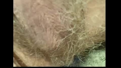 harry_banana online show from April 2, 10:12 am