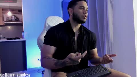 Harry Zandes online show from February 10, 4:08 am