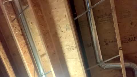 hdizzy99 online show from October 28, 12:07 pm