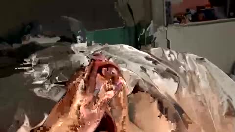 henry0043 online show from January 8, 12:26 pm