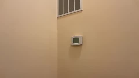 honey_man14 online show from February 19, 6:32 pm