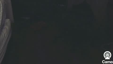 horny0g online show from December 14, 6:56 am